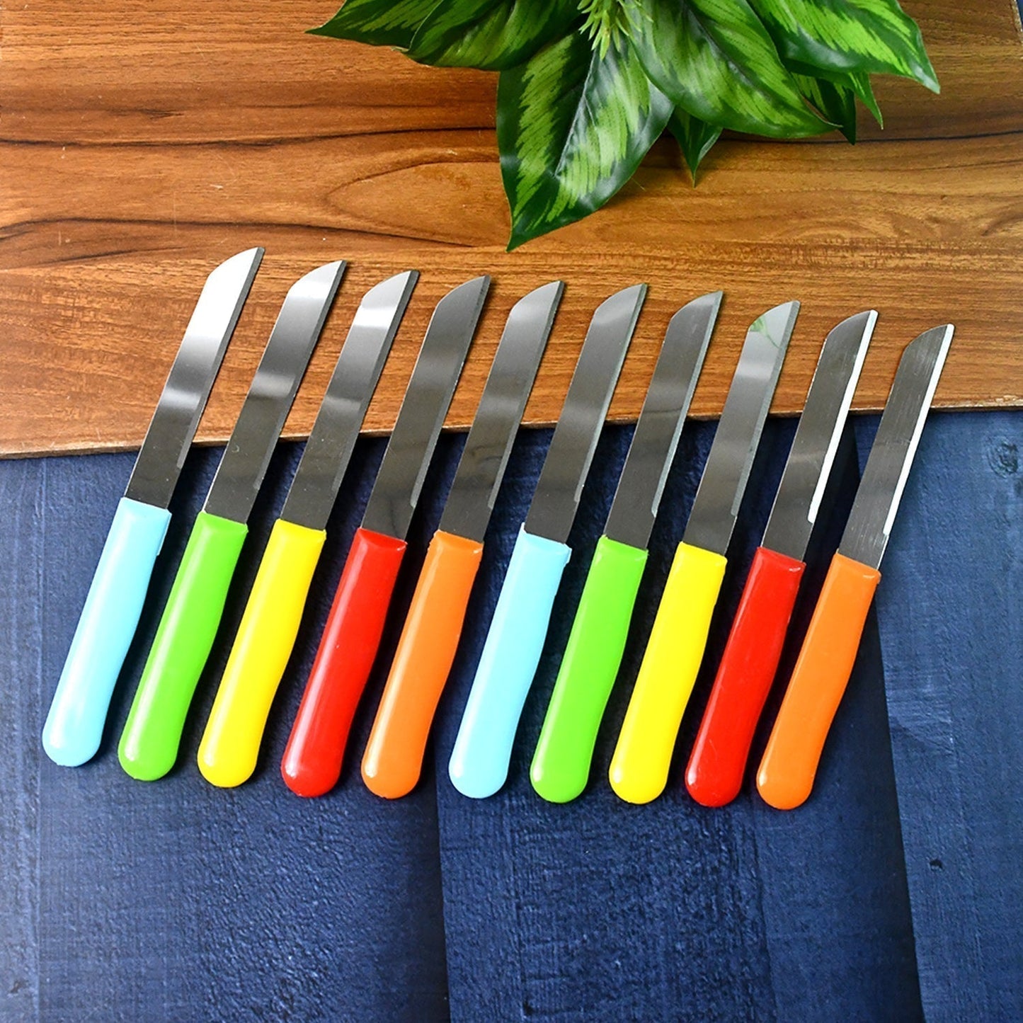 Premium Quality Stainless Steel Handle Plain Knife (10 Pc / 1 Set)