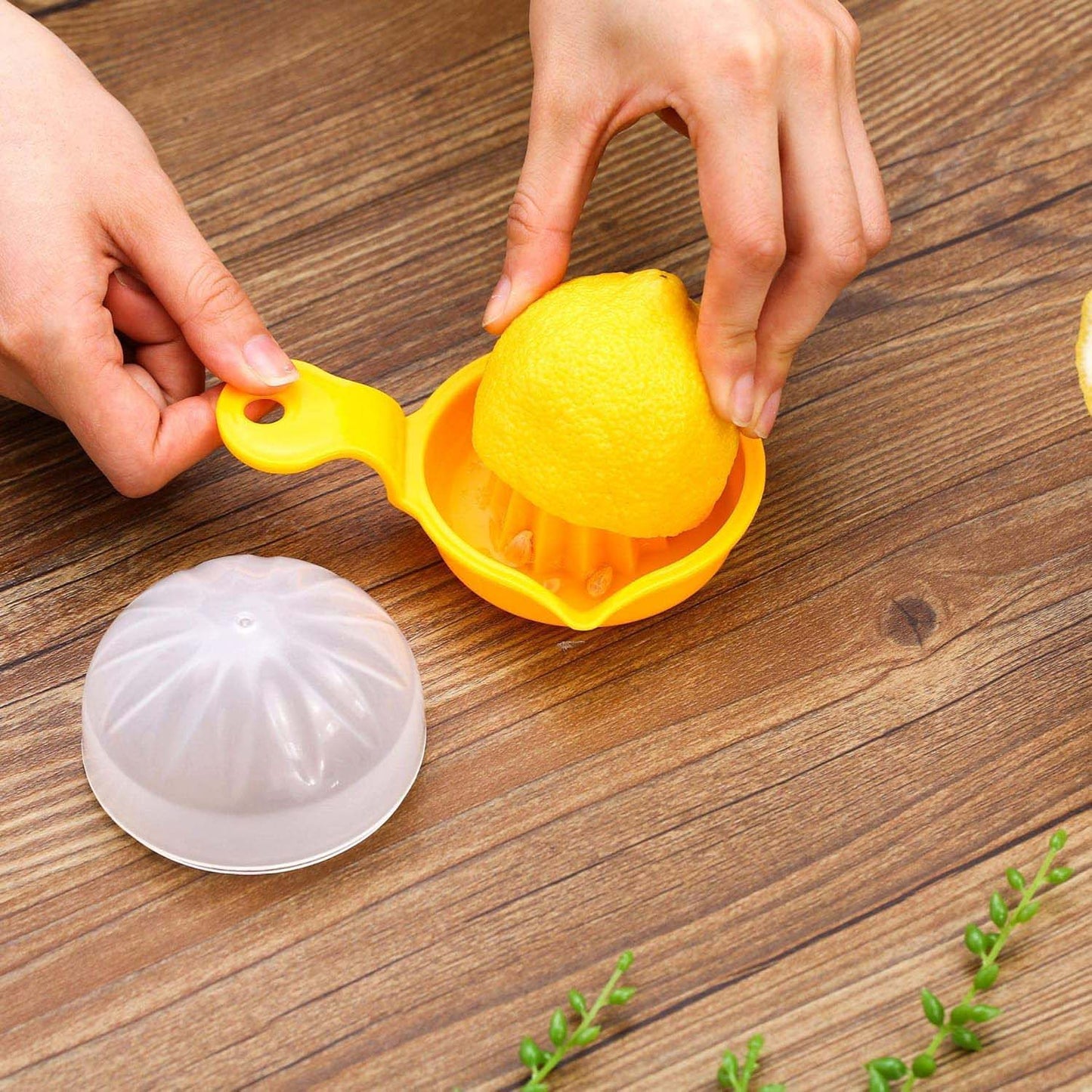 Hand-Operated Citrus Juicer (1 Pc)
