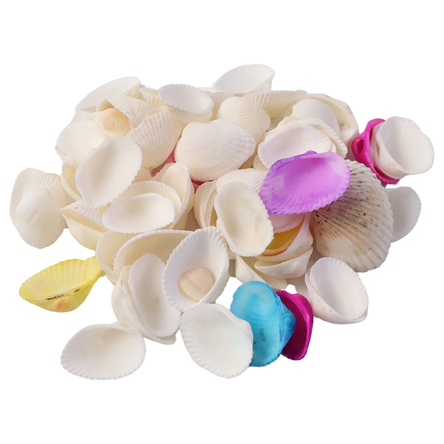 Decorative Seashells Set (1 Set)