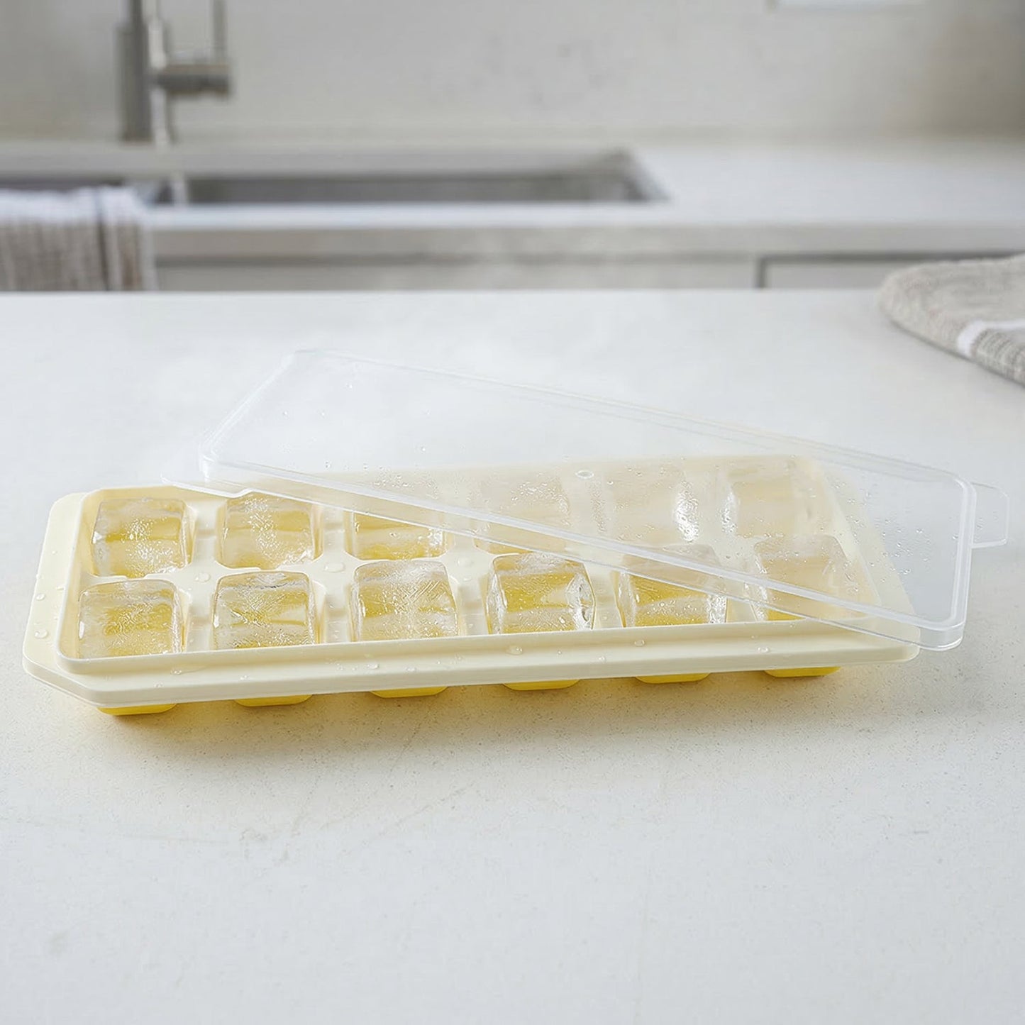 24 Grid Pop Up Ice Cube Tray Set with Lid (2 Pc Set)