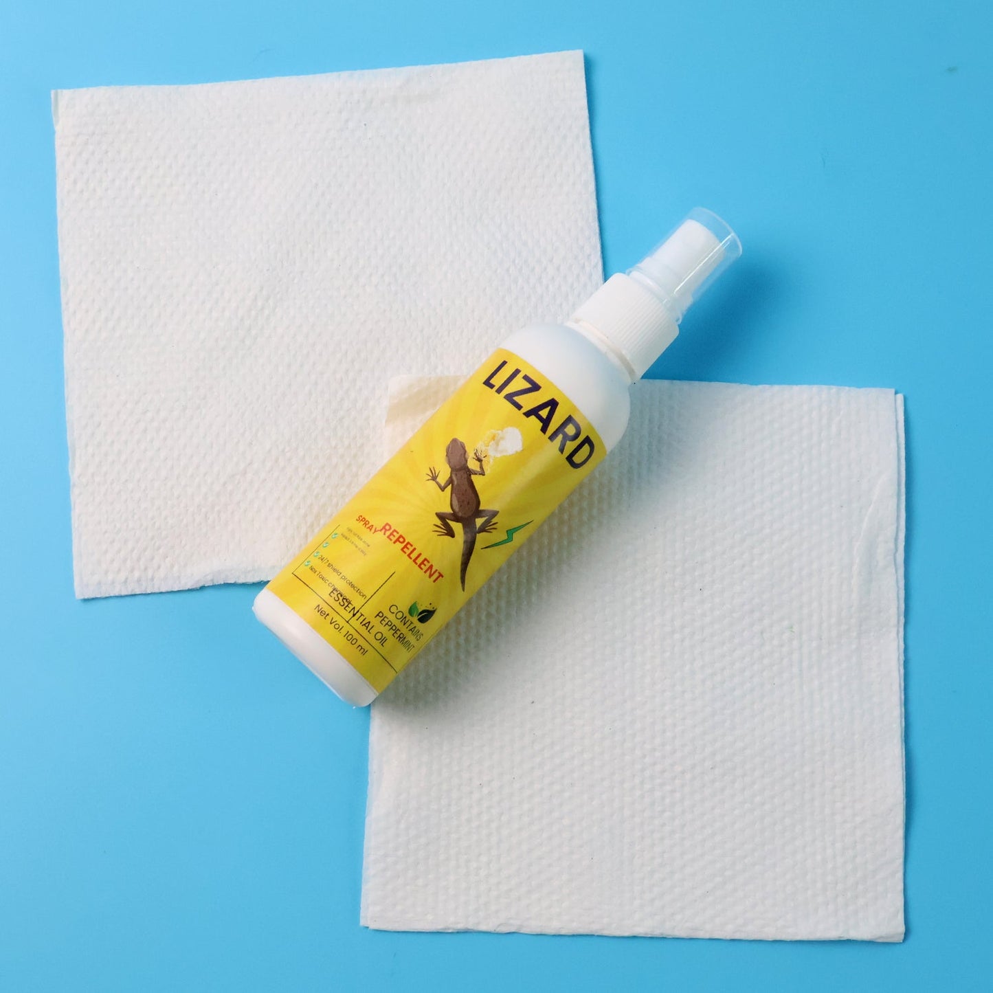 Lizard Repellent Spray â€“ 100ML (1 Pc)