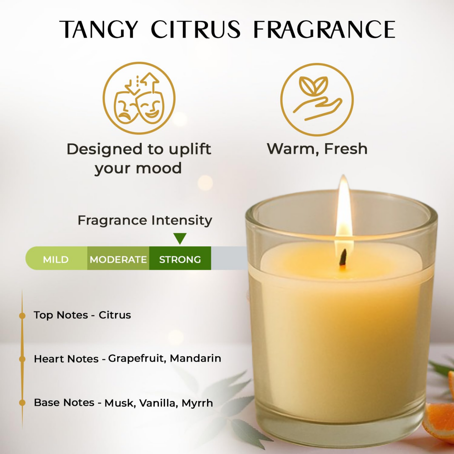 In'lief  Blueberry Soy-Blend Votive Candle Glass â€“ 50 gm (1 Pc)