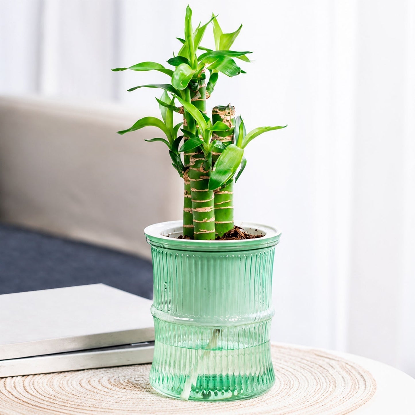 Self-Watering Bamboo Style Plastic Flower Pot with Cotton Wick (1 Pc)