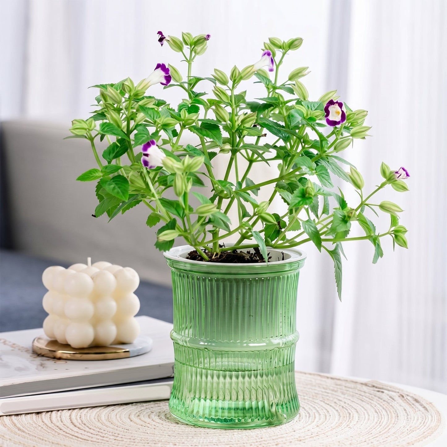 Self-Watering Bamboo Style Plastic Flower Pot with Cotton Wick (1 Pc)