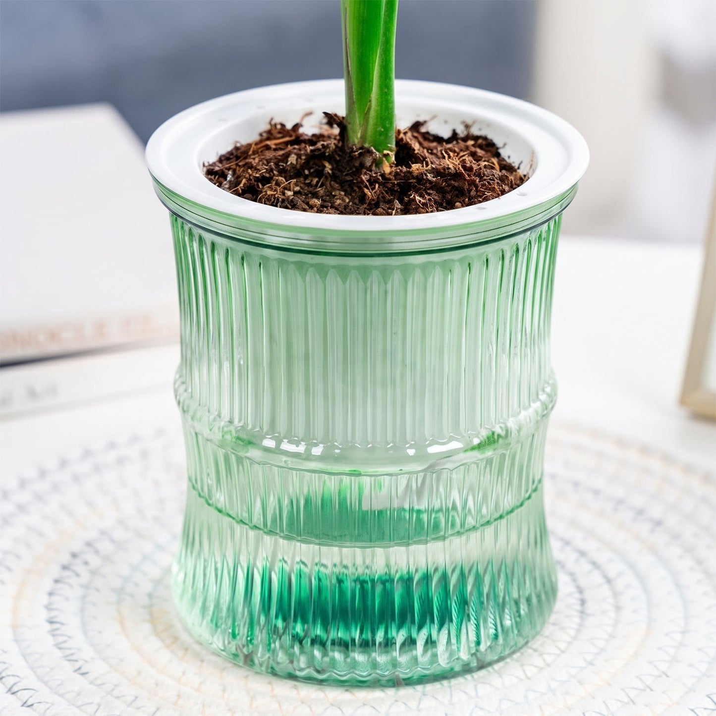 Self-Watering Bamboo Style Plastic Flower Pot with Cotton Wick (1 Pc)