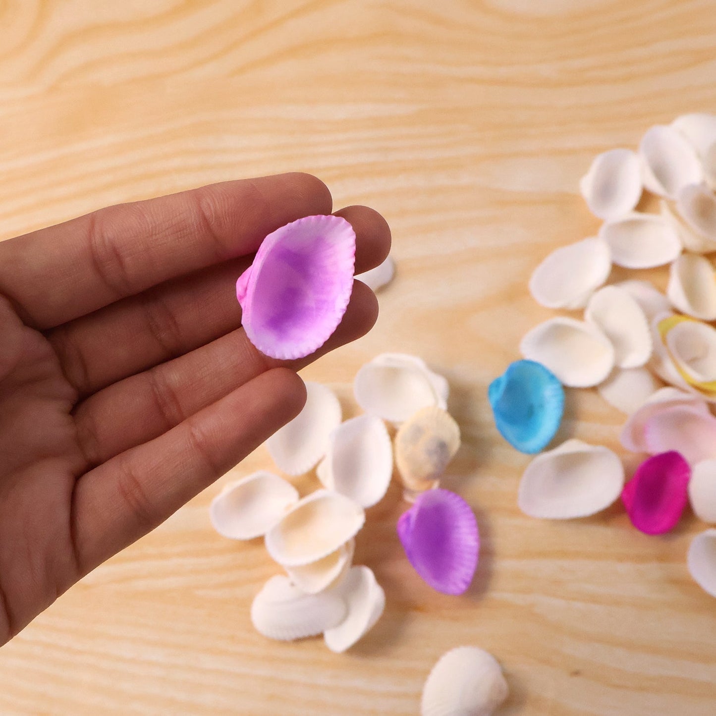 Decorative Seashells Set  (1 Set)