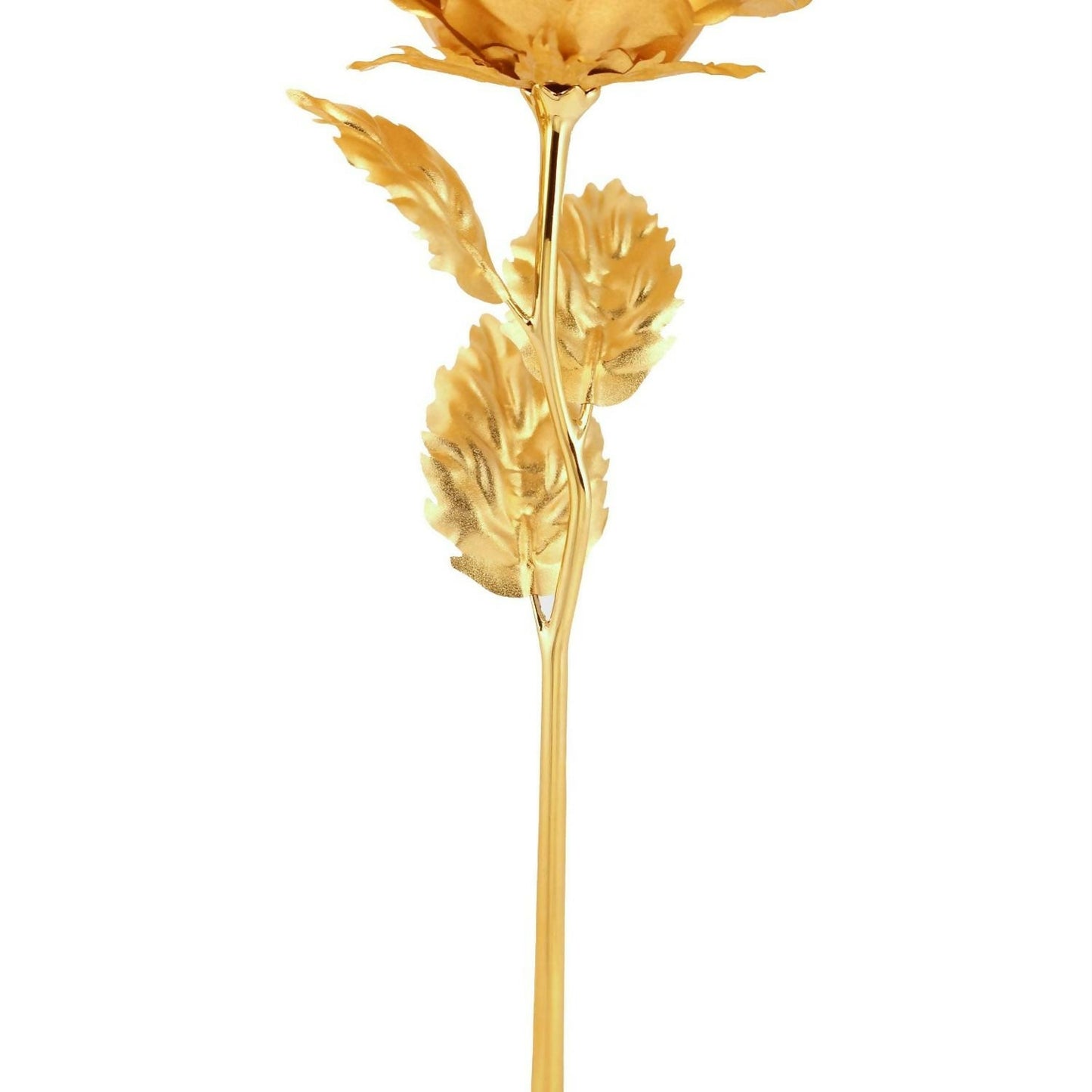 B Mix Color Rose is perfect for decorating homes, offices, cafes (3 Pc Set)