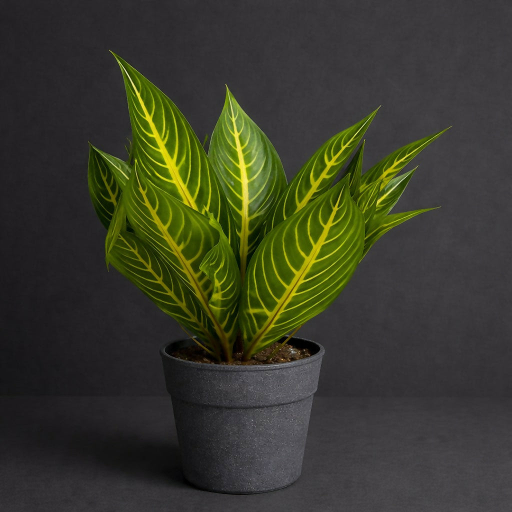 Artificial Decorative Tabletop Plant with Pot for Home & Office DÃ©cor