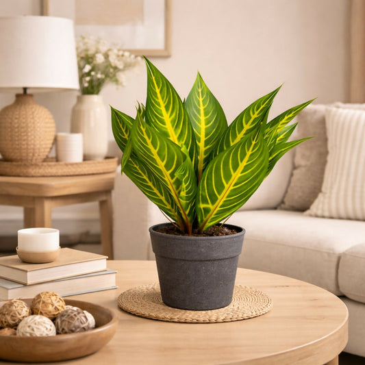 Artificial Decorative Tabletop Plant with Pot for Home & Office DÃ©cor